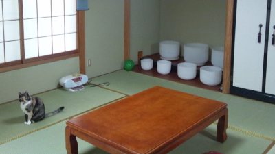 天空（そら）のうさぎ 尾張旭サロン