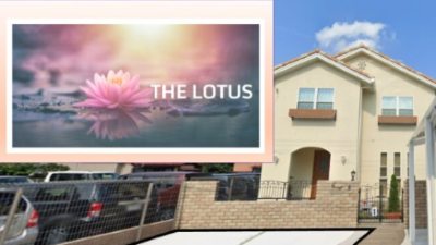 THE LOTUS