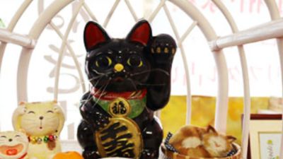 占い館まねき猫