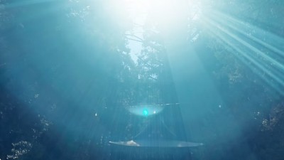 睡蓮きい霊視占い開運鑑定研究所