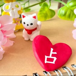 信玄先生