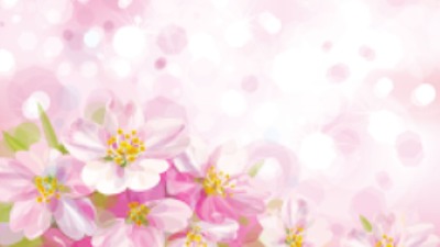 女性運命鑑定士 佐蔵 祥胤