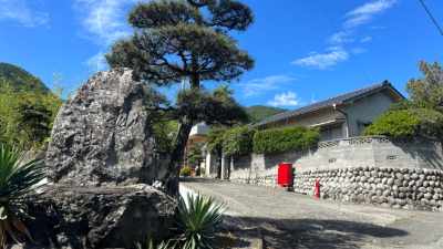 円宝寺