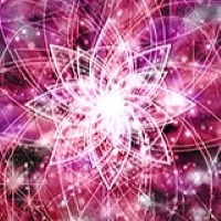 天龍寺 青葉(てんりゅうじ あおば)先生